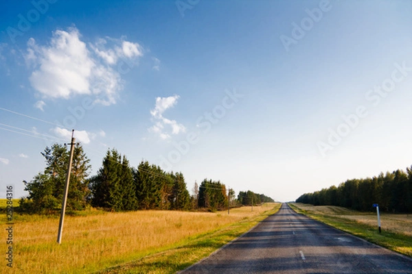 Obraz Дорога в поле