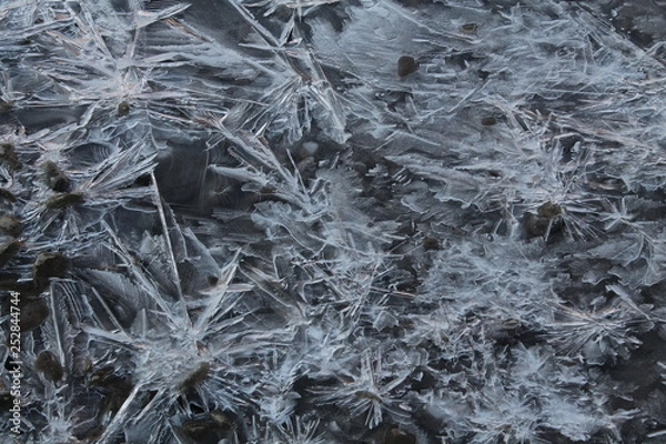 Obraz Picture on ice