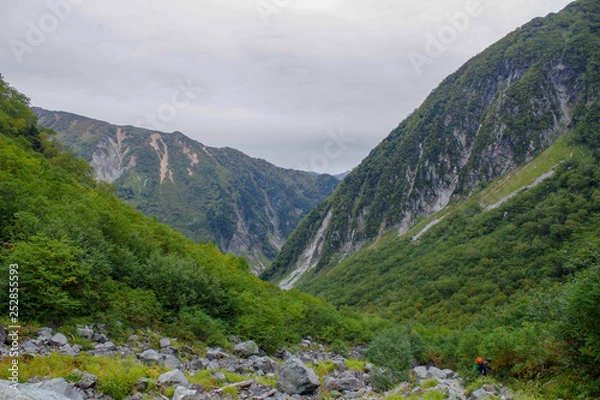 Fototapeta 夏の風景