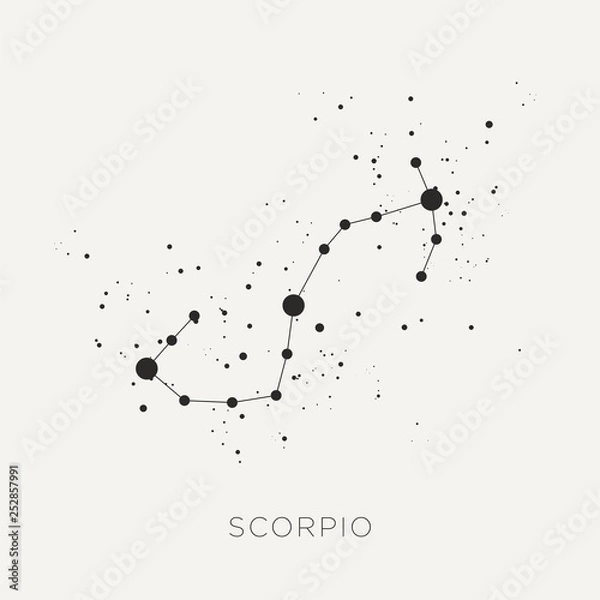 Fototapeta Star constellation zodiac scorpio black white vector