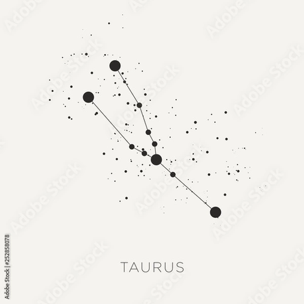 Obraz Star constellation zodiac taurus black white vector