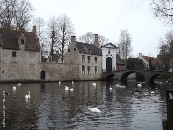 Obraz house on the river