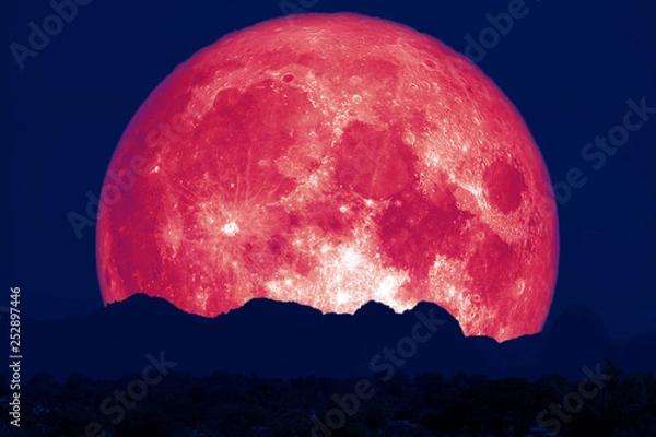 Fototapeta full pink fish moon back on cloud and mountain on night sky