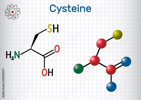 Fototapeta Cysteine  (L-cysteine, Cys, C) proteinogenic amino acid molecule.  Sheet of paper in a cage.