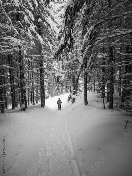 Fototapeta wędrówka w rakietach śnieżnych