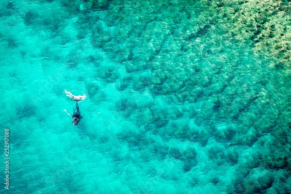 Fototapeta ocean reef Ningaloo 