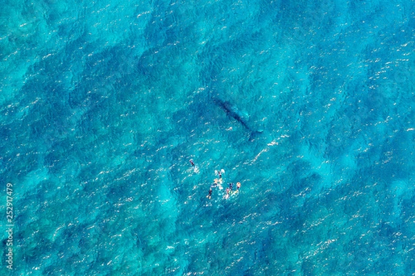 Obraz ocean reef Ningaloo 