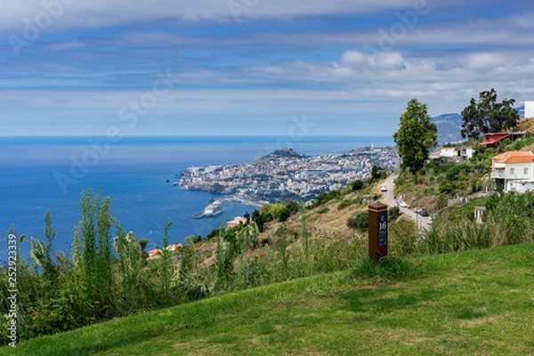 Fototapeta madeira funchal