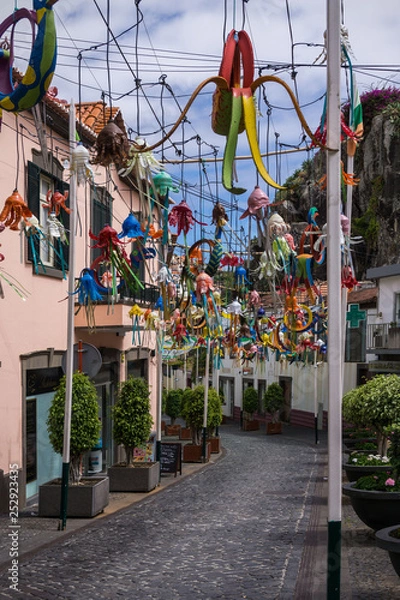 Obraz madeira camera de lobos