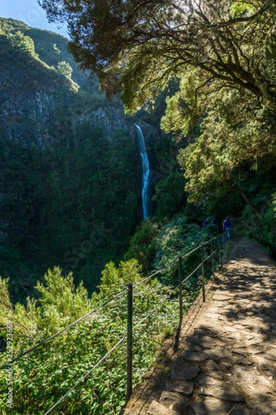 Obraz Madeira Risco Wasserfall