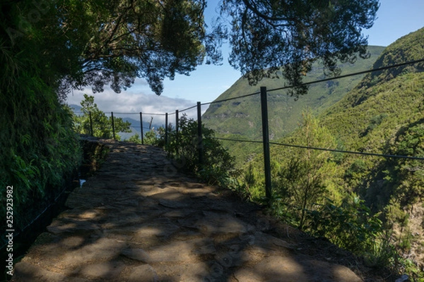 Obraz Madeira Levada Wanderung