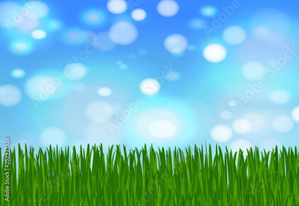 Fototapeta summer or spring background with green grass, blue sky and highlights