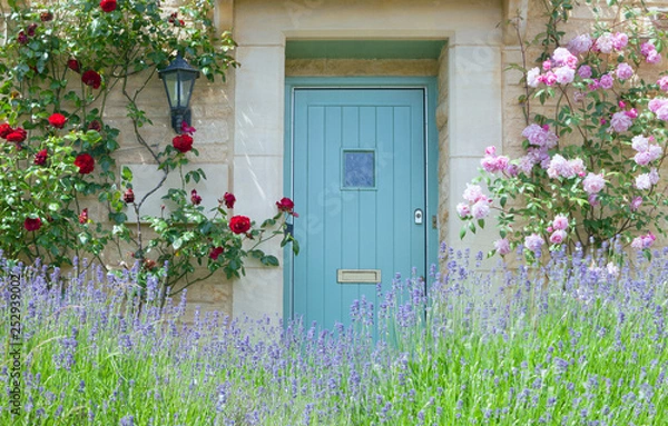 Fototapeta Bright blue wooden doors in an old traditional English lime stone cottage surrounded by climbing red and pink roses in bloom, with flowering purple lavender in front garden .