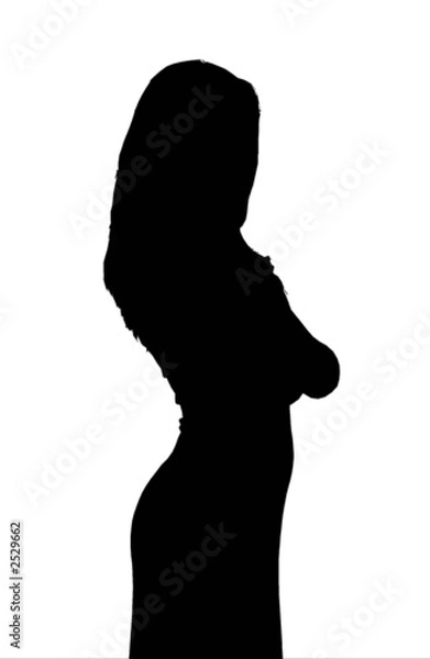 Obraz silhouette donna