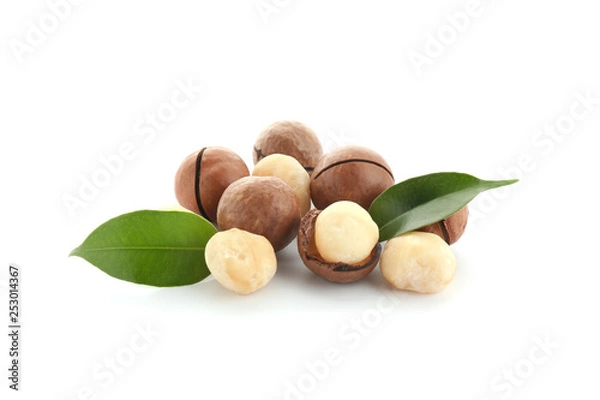 Fototapeta Macadamia nuts on white background