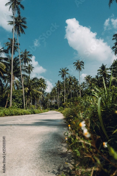 Obraz Thailand Roads