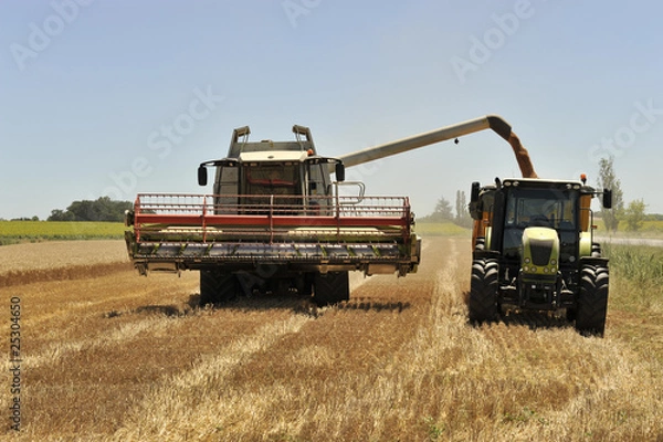 Obraz Moissoneuse-batteuse