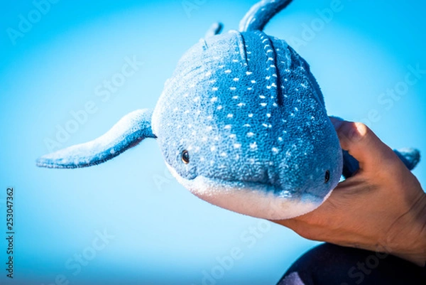 Obraz whale shark toy