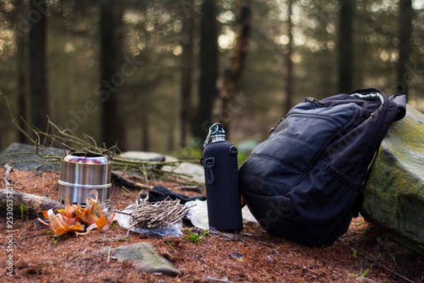 Obraz Camping Cooking in Forest