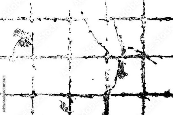Fototapeta crecked wall pattern on isolated white background