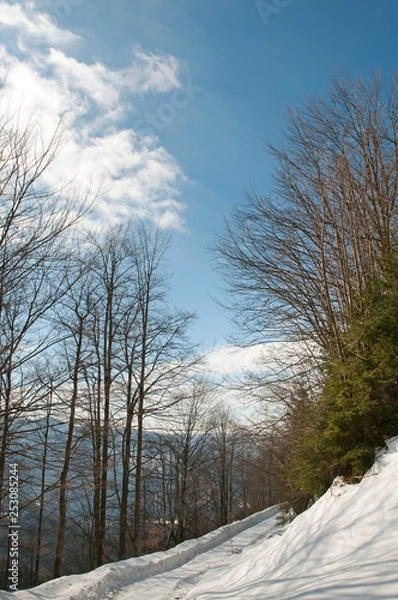 Fototapeta frosty day on the top of the mountain