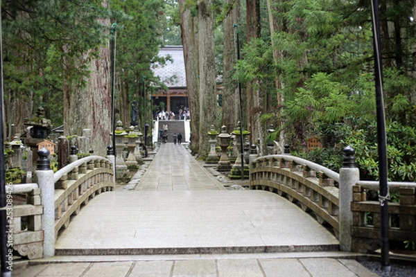Obraz 高野山奥之院参道