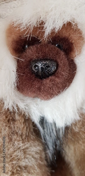 Fototapeta Monkey teddy doll