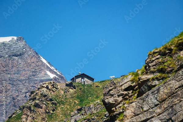 Obraz Chalet and white horse