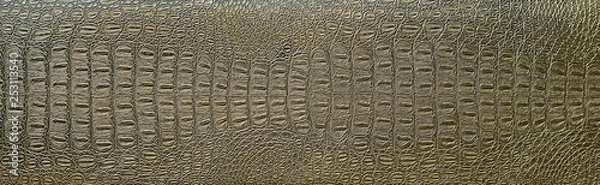 Obraz crocodile skin