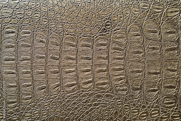 Obraz crocodile skin