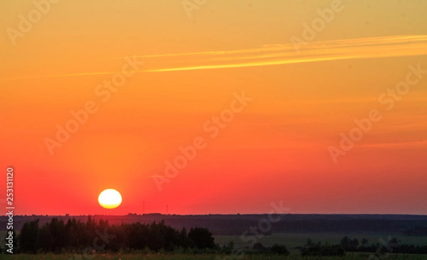 Fototapeta Sunset in the field, red sun