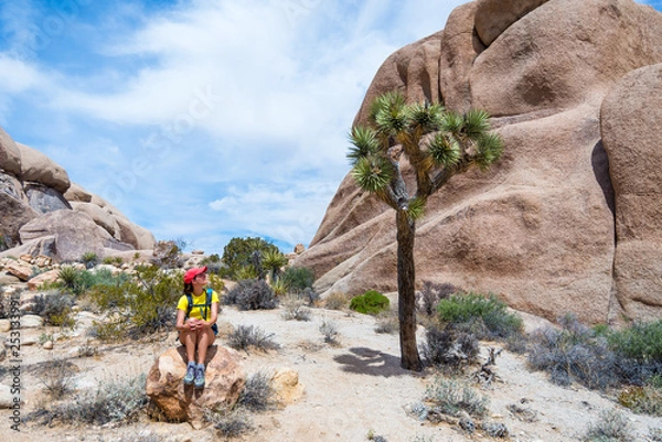 Fototapeta Young woman admiring a Joshua Tree in Joshua Tree National Park, California, USA. Adventure and travel concept.