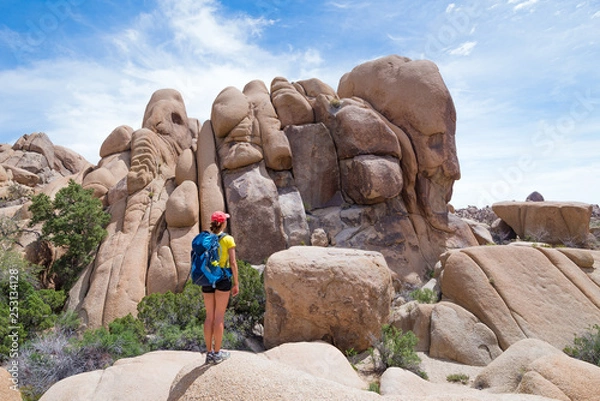 Fototapeta Young woman looking at the Skull Rock in Joshua Tree National Park, California, USA. Adventure and travel concept.