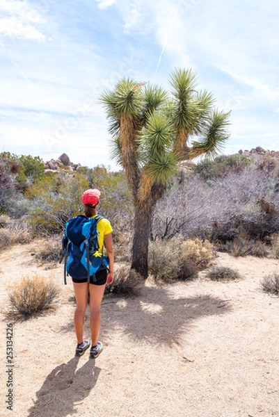 Fototapeta Young woman admiring a Joshua Tree in Joshua Tree National Park, California, USA. Adventure and travel concept.