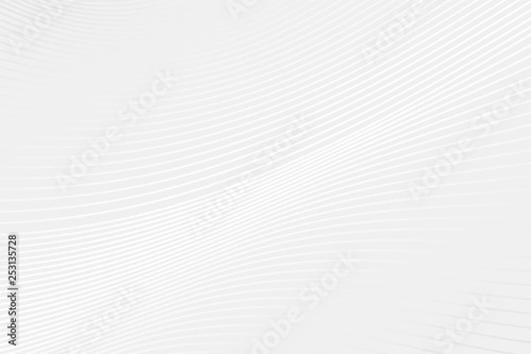 Fototapeta Abstract vector curve pattern. Grey and white gradient wave background. Illustration for design, presentation, sample, decoration, web, concept