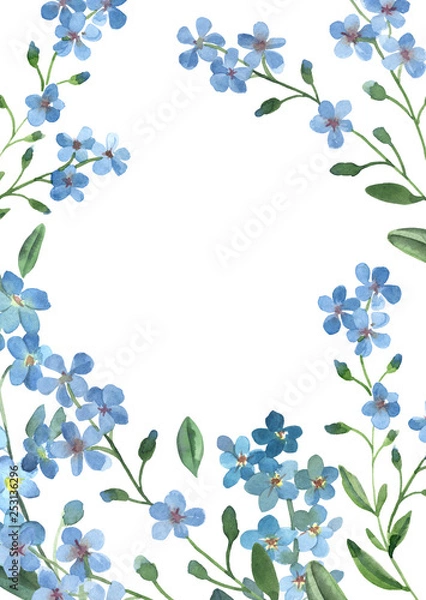 Fototapeta watercolor blue forget-me-not with green leaves on white background for greetings card