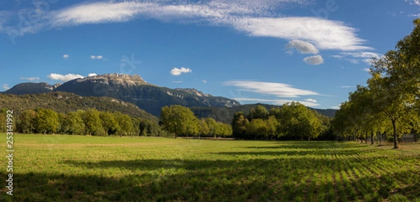 Fototapeta Grande Sure