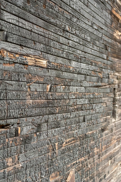 Obraz Burnt Wood Wall