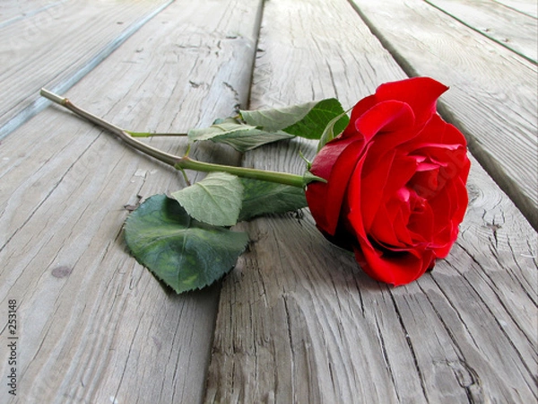 Obraz róża na drewnie