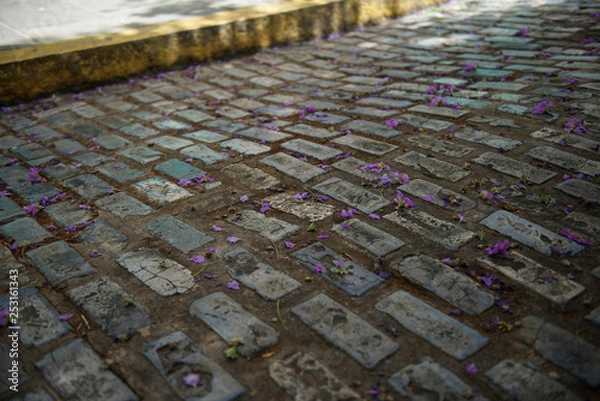 Obraz Things you see in Puerto Rico