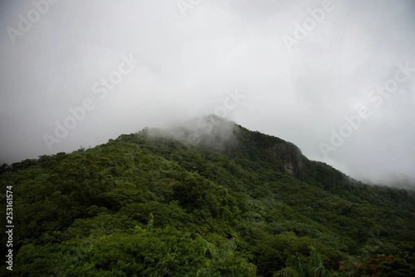 Fototapeta Things you see in Puerto Rico