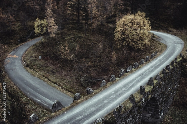 Fototapeta road in forest