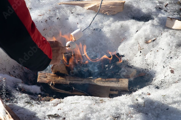 Fototapeta fire in fireplace
