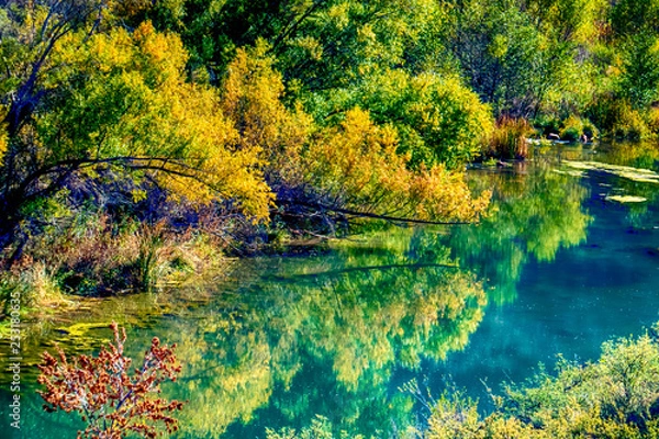 Obraz Along the Verde River