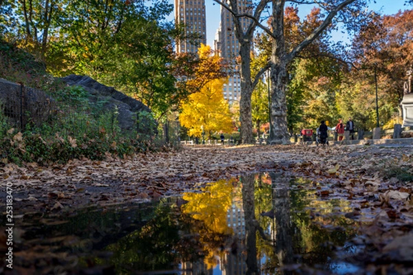 Fototapeta Central Park reflection