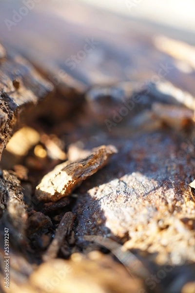 Fototapeta Texture 3.0