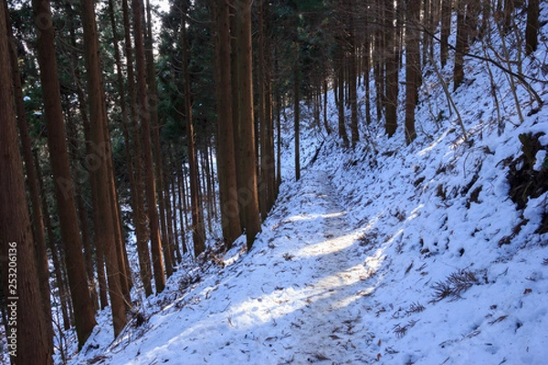 Fototapeta 雪の山道