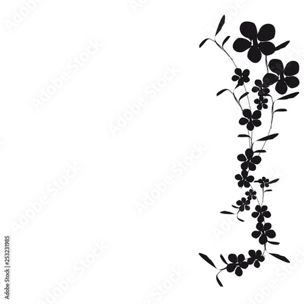 Fototapeta beautiful flowers