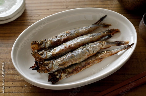 Fototapeta ししゃも