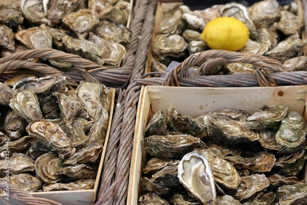 Obraz Bac à huitres au marché
